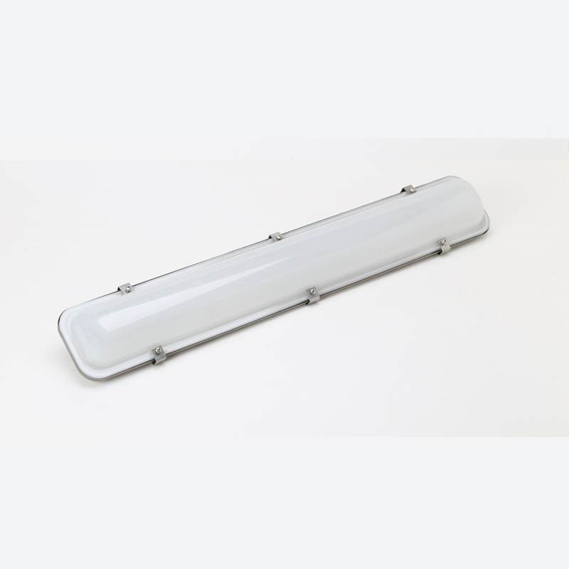 Stainless steel tri-proof light