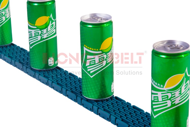 HONGSBELT HS-F1000-58RR  58mm raised bid modular plastic conveyor belt	for beverage indust