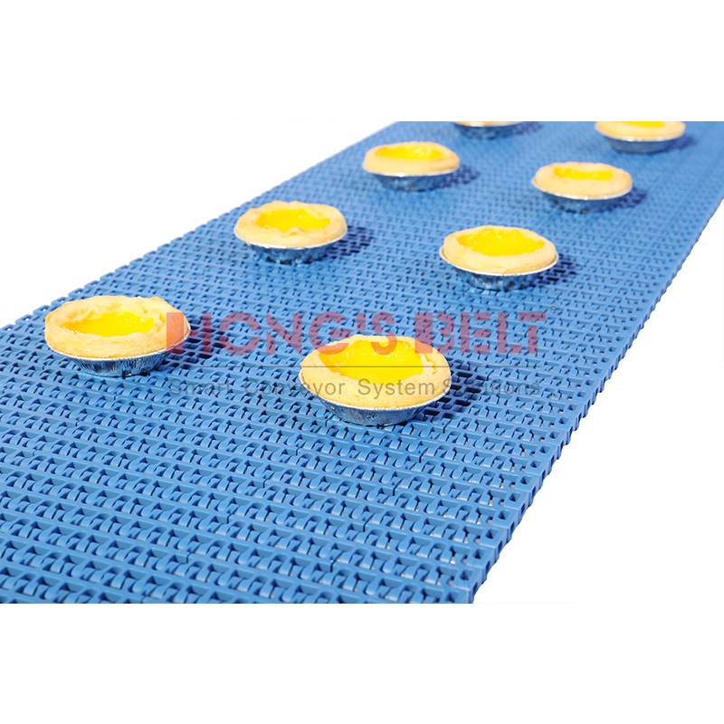 HONGSBELT HS-1100B-N modular plastic conveyor belt for food industry