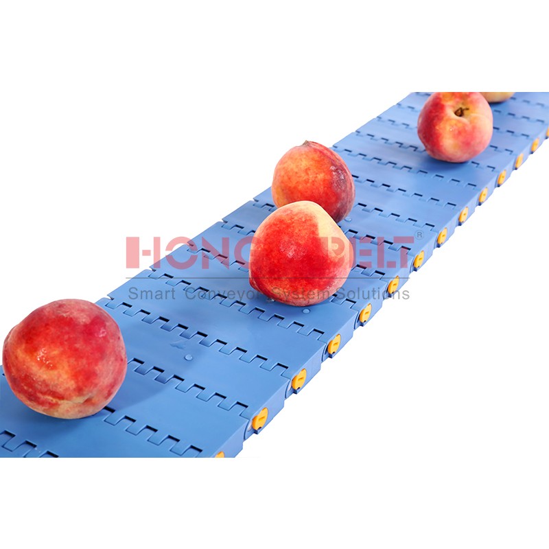 HONGSBELT HS-1600A modular plastic conveyor belt for food industry