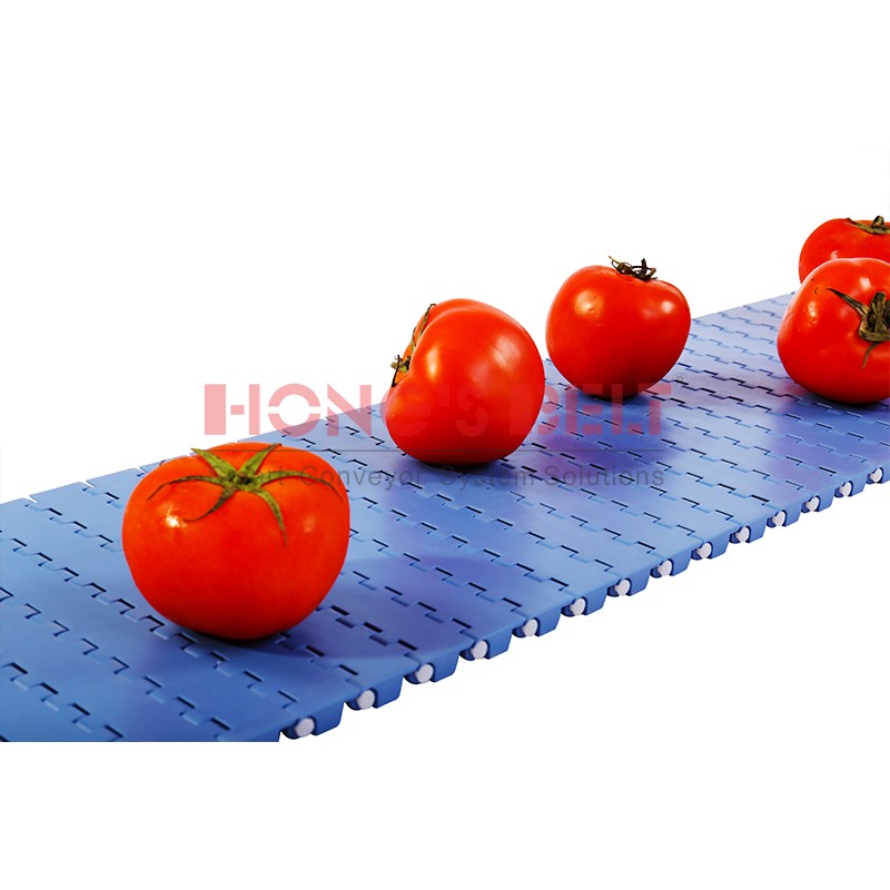 HONGSBELT HS-2500A modular plastic conveyor belt for food processing