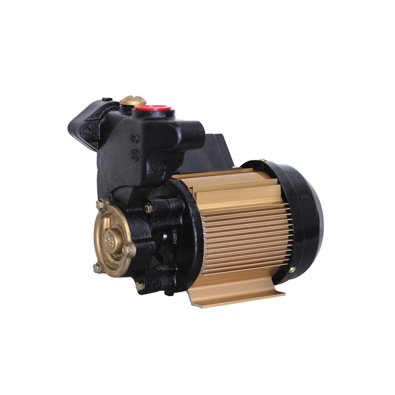 220V /60HZ Electric 0.75HP  Water Pump for Philippine Marked 