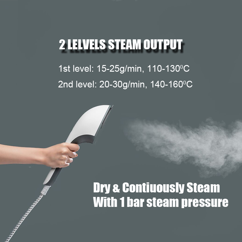 Divided Struture Portable Garment Steamer Iron