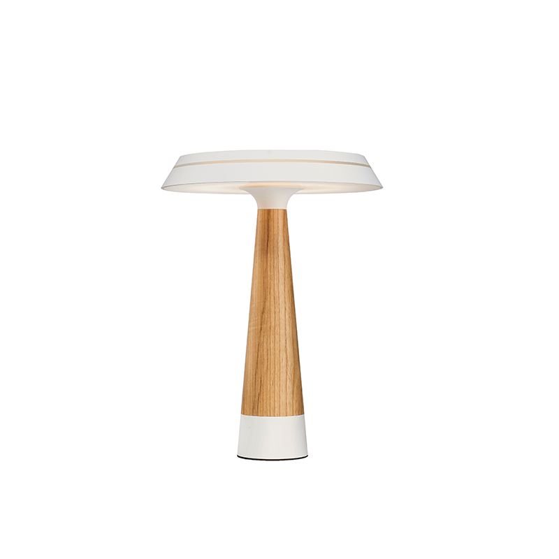 VR6164T-LED TABLE LAMP WHITE.png