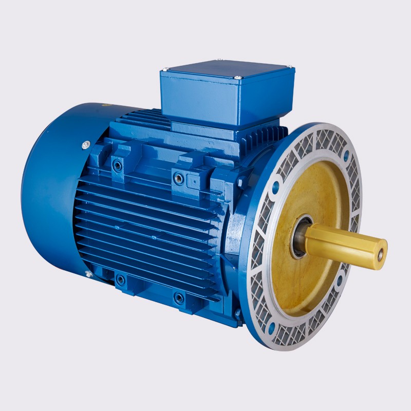 YE2 series IEC B5 mounted three phase asynchronous motor