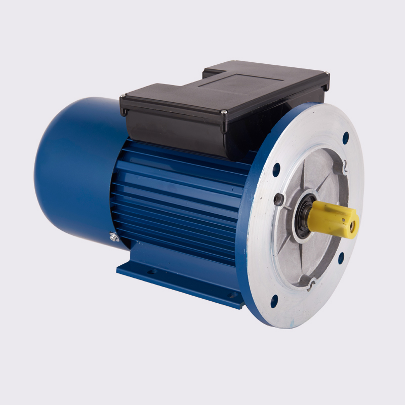 YLD series single phase pole-changing two-speed asynchronous motor