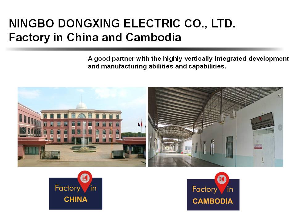 Ningbo Dongxing Electric Co., Ltd.
