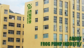 FROG PUMP INDUSTRY CO., Ltd