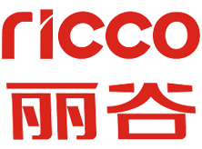 Lianjiang Ricco Electrical Appliance Co.,Ltd.