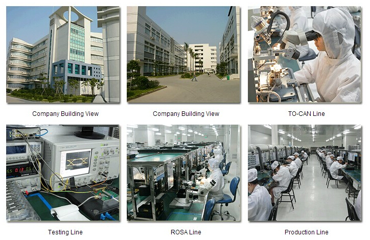 Shenzhen Wiitek Technology Co.,Ltd