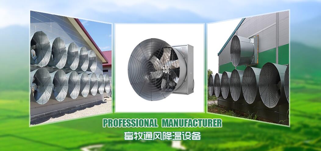 Qingdao Shuangjunli Machinery Co.,LTD