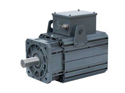 SM Series Permanent Magnet Industrial Motor Electric Motor Servo Motor