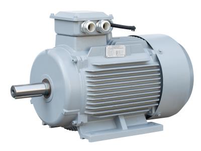YT112M Series Permanent Magnet High-efficiency AC Electric Motor for Machinery 