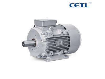 YT160L Series Permanent Magnet High-efficiency AC Electric Motor for Machinery