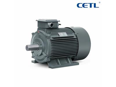 YT315L 3-Phase Permanent Magnet High-power AC Electric Industrial Motor for Machinery
