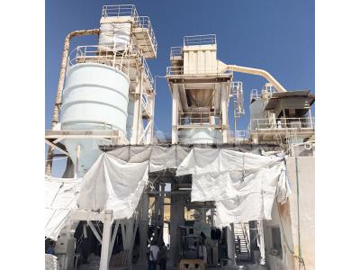 Daswell Powder Customized Calcium Carbonate Ball Mill Grinding and Processing Production