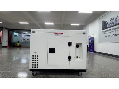 12KW 15kVA Silent Gasoline & NG Generator