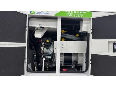 12KW 15kVA Silent Gasoline & NG Generator