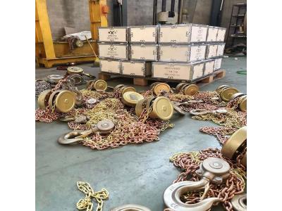 3 Ton Non Spark Chain Block 3 Meter HBSQ Type Explosion Proof Chain Manual Chain Hoist