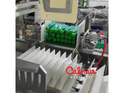 Stand-Up Pouch Case Packer Cartoning Line for Doypack Bags