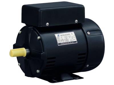 CSCR Series Rolled Steel Housing Single Phase Capacitor-start & run Induction Motors