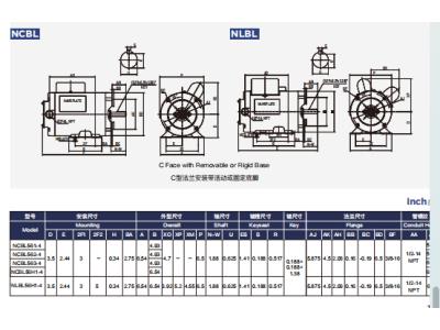 NCBL/NLBL series single phase induction motors for boat lift motors