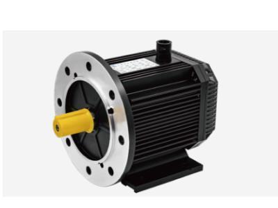 PMSM Series Permanent Magnet Synchronous Motors