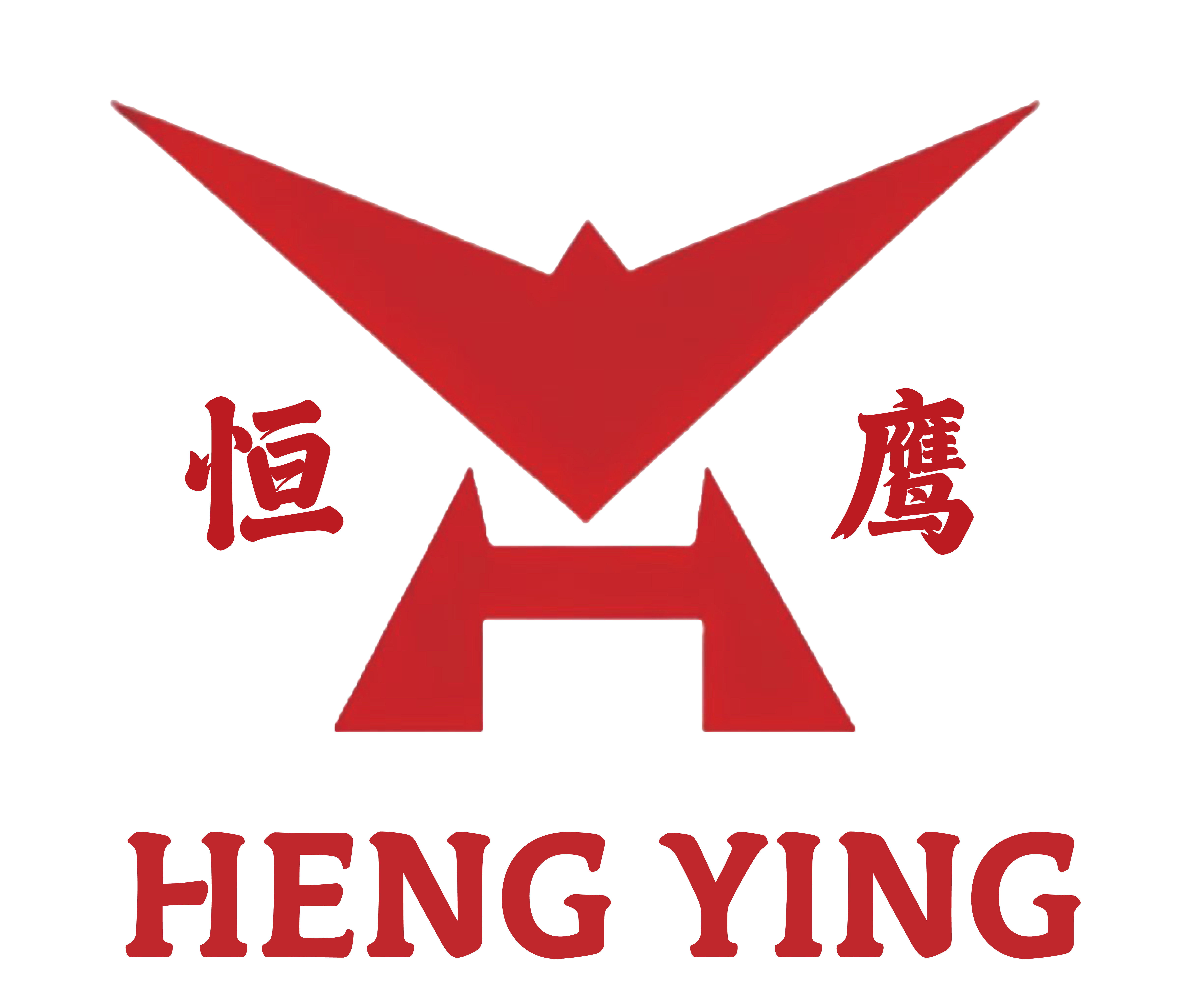 Hebei Hengying Special Lifting Equipments Manufacturing Co.,Ltd.